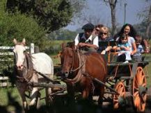DON SILVANO ESTANCIA TURISTICA